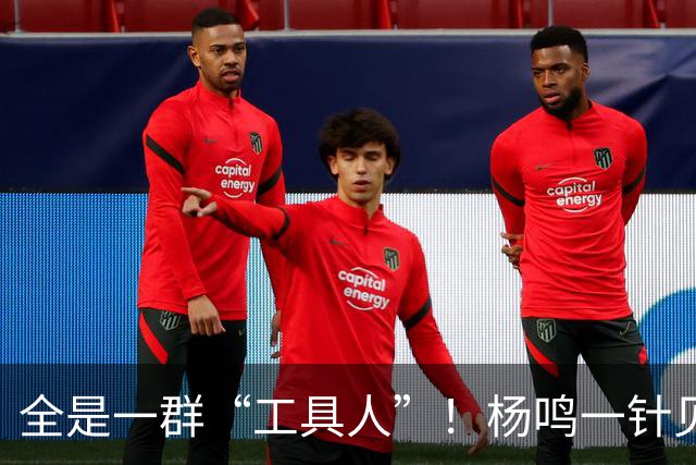 全是一群“工具人”！杨鸣一针见血：中国男篮凭什么赢日本？