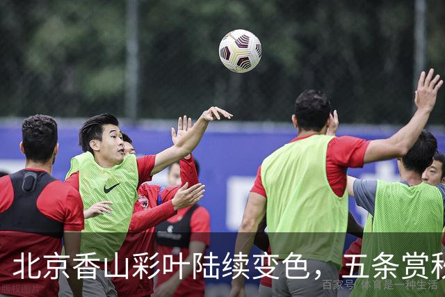 北京香山彩叶陆续变色，五条赏秋线路各有特点