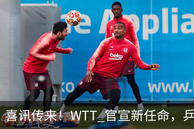 喜讯传来！WTT 官宣新任命，乒乓美女升职，扛起总监重任！