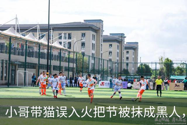 小哥带猫误入火把节被抹成黑人，为复仇连去2年，结果…咪一脸命苦：他们都拿我擦手