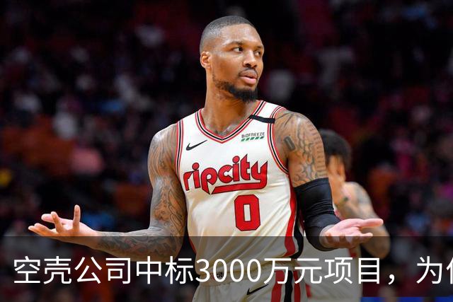 空壳公司中标3000万元项目，为何程序严谨而结果荒诞