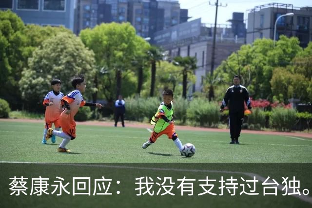蔡康永回应：我没有支持过台独。网友：工作丢了，代言丢了，知道急了，没用了。