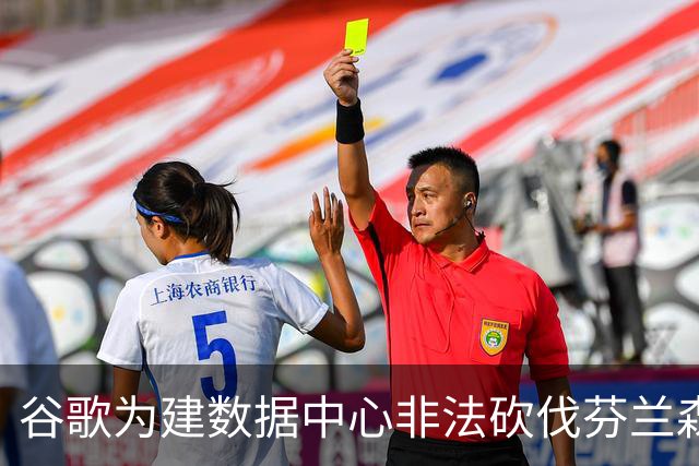 谷歌为建数据中心非法砍伐芬兰森林25万棵树，狼群被迫进村觅食