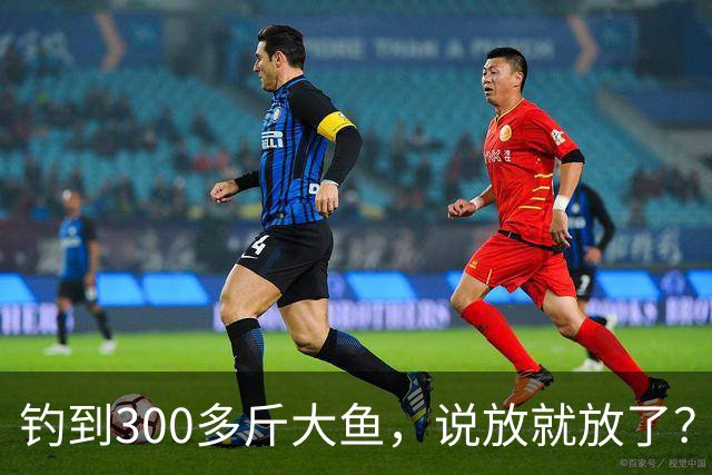 钓到300多斤大鱼，说放就放了？