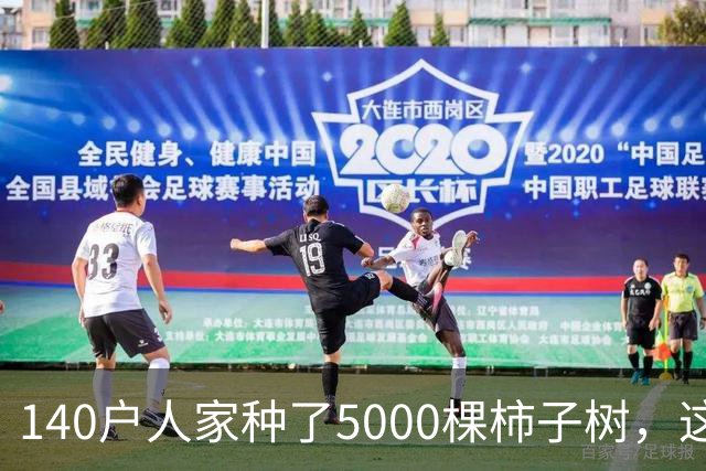 140户人家种了5000棵柿子树，这个浙江小村国庆6天来了8万人